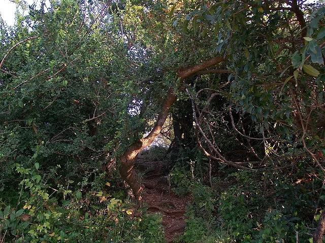 Sagargad Trek