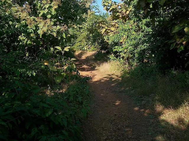 Sagargad Trek