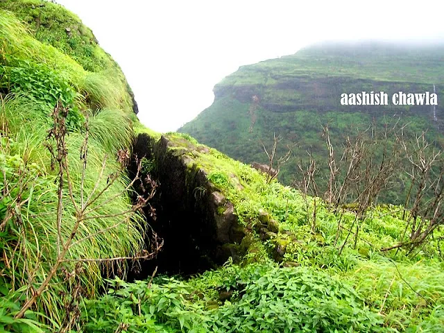 Bhaskargad Aka Basgad