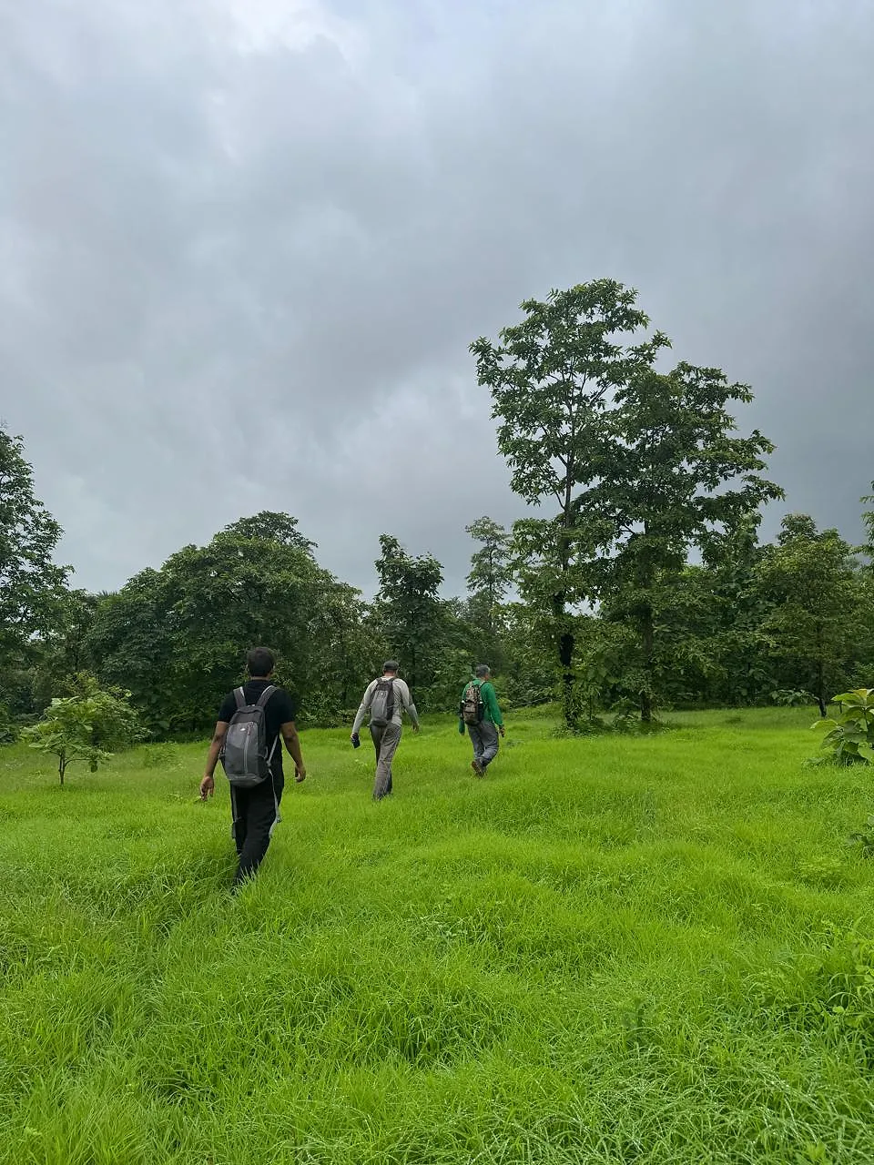 Mandakini Hill Trek – A Hidden Gem Near Mumbai