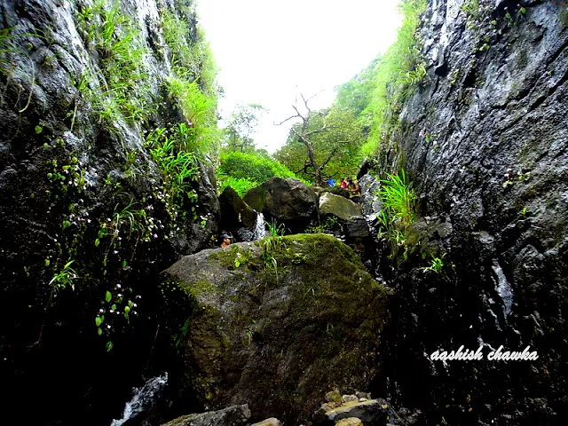 Trek to Ulhas valley
