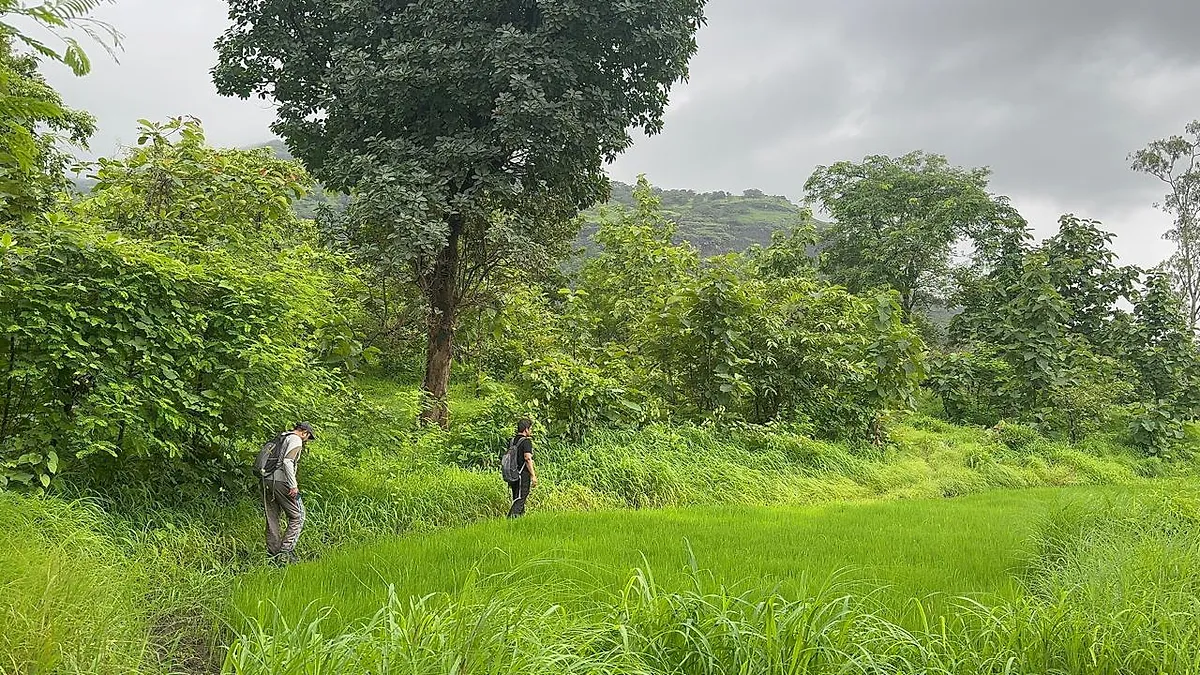 Mandakini Hill Trek – A Hidden Gem Near Mumbai