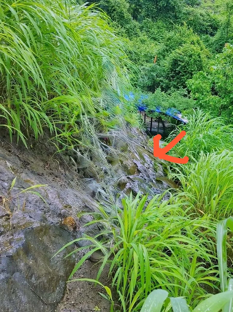 मंदाकिनी हिल ट्रेक