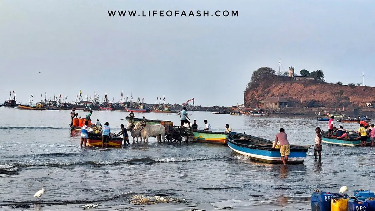 Konkan Road Trip Part 3: Harnai Fish Market & Suvarnadurg Fort – Hidden Gems of Dapoli