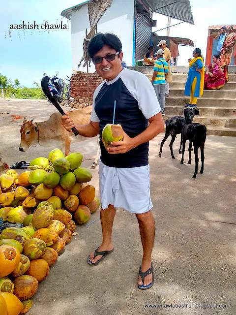 Temple Trails : Rameshwaram from Morning to Afternoon