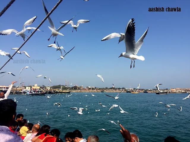Bet Dwarka | Gujarat Series