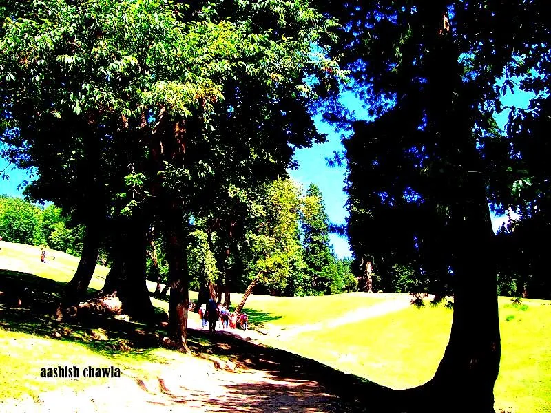 Kashmir Great Lakes Trek | Day 2