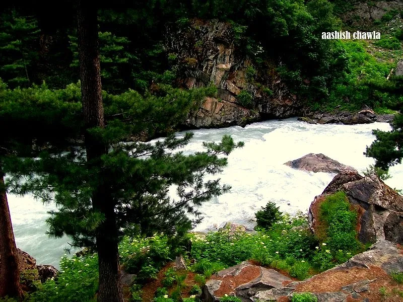 Kashmir Great Lakes Trek | Day 1