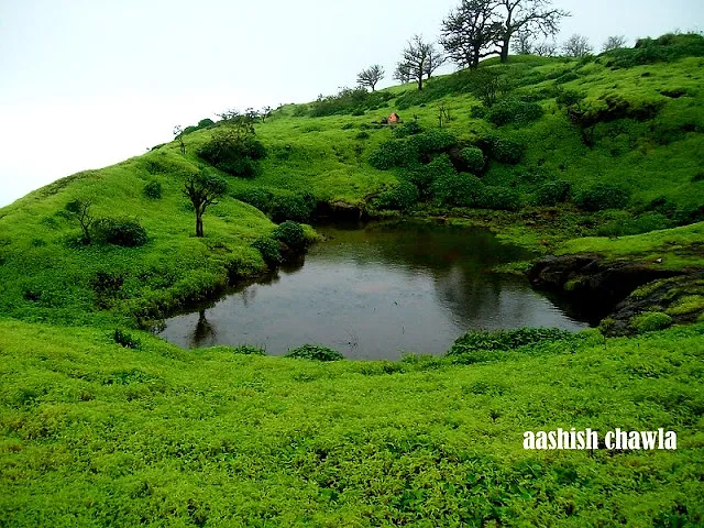 Bhaskargad Aka Basgad