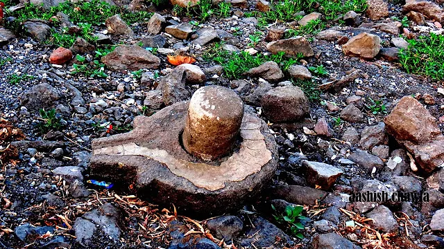 Chandori Temples: A Forgotten Legacy
