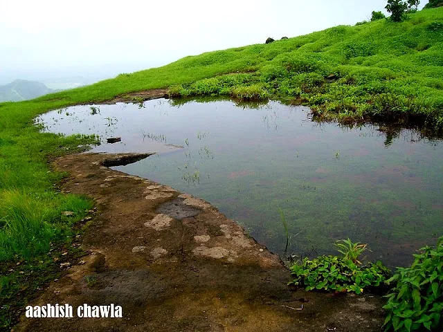 Bhaskargad Aka Basgad