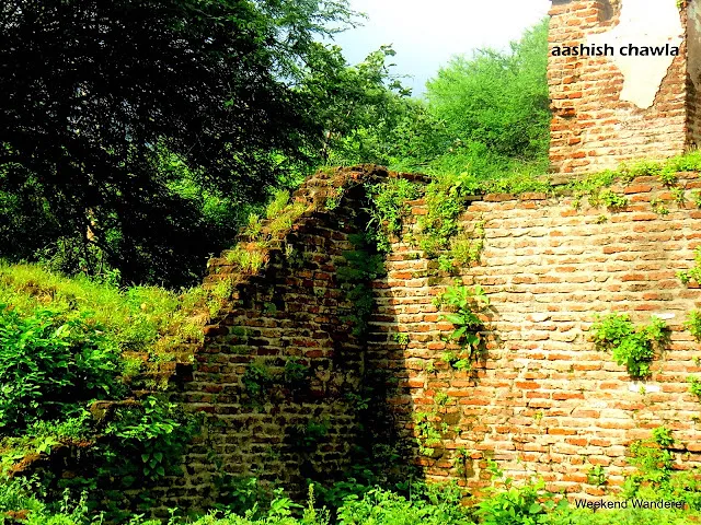 Champaner Series | Iteri Masjid | Part 3