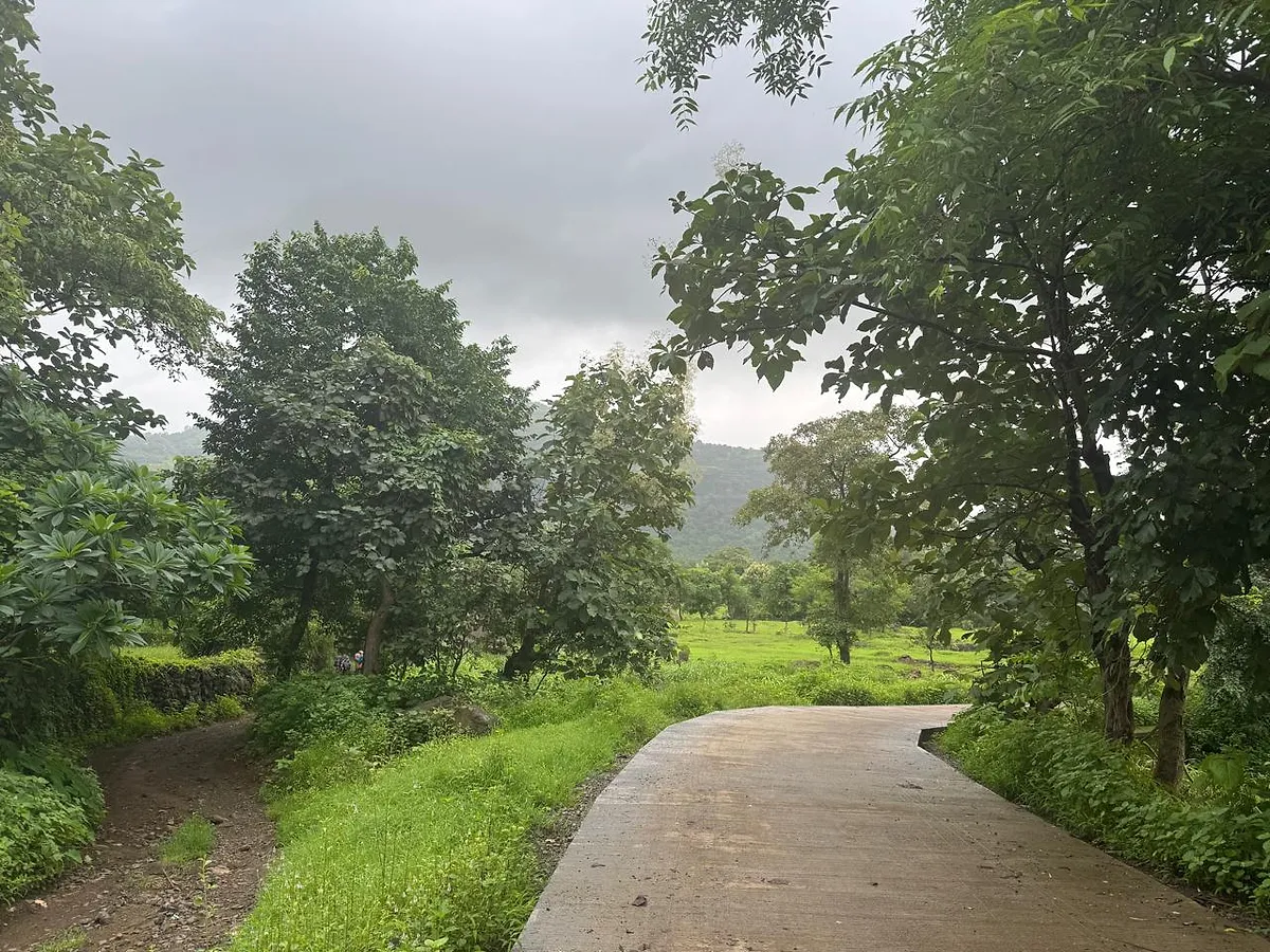 मंदाकिनी हिल ट्रेक