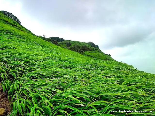 Manikgad Trek