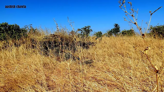 Gadgada aka Ghargad Fort
