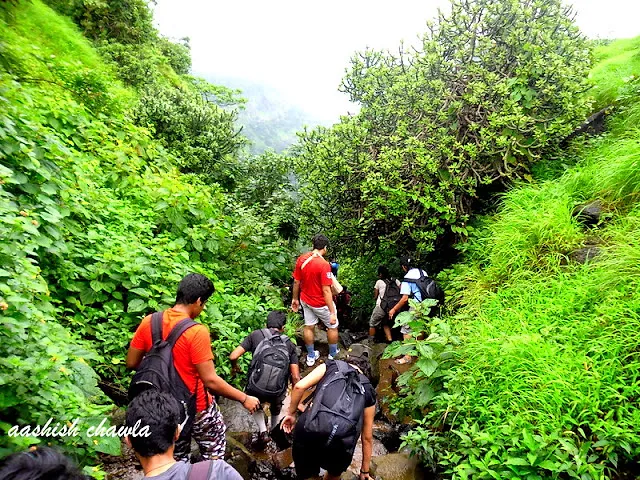 Trek to Ulhas valley