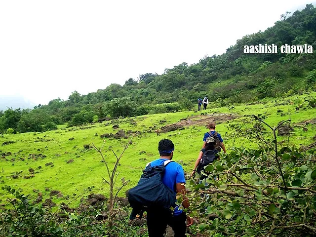Bhaskargad Aka Basgad