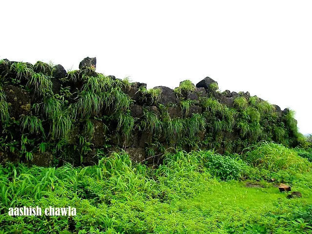 Bhaskargad Aka Basgad
