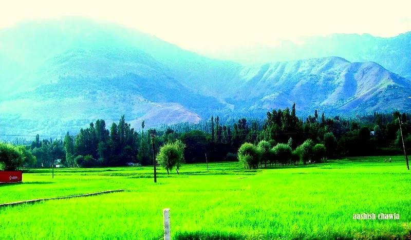 Kashmir Great Lakes Trek | Day 1