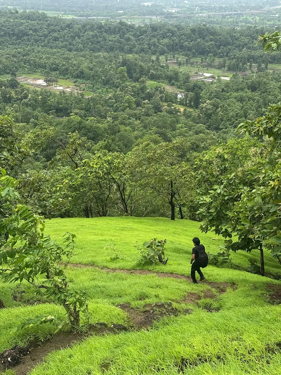 मंदाकिनी हिल ट्रेक