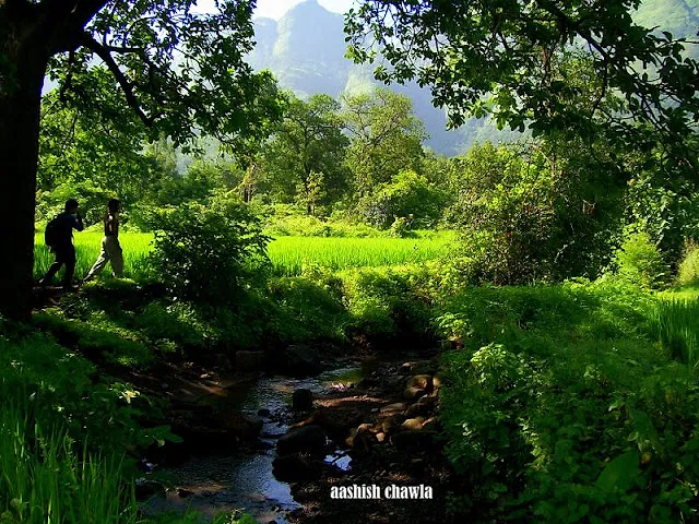 Ahupe Ghat Trek