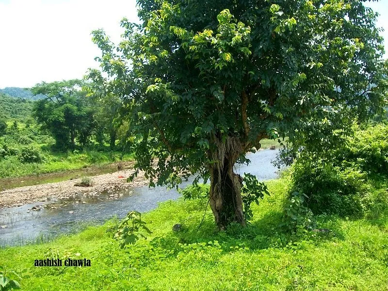 Umberkhind Trek
