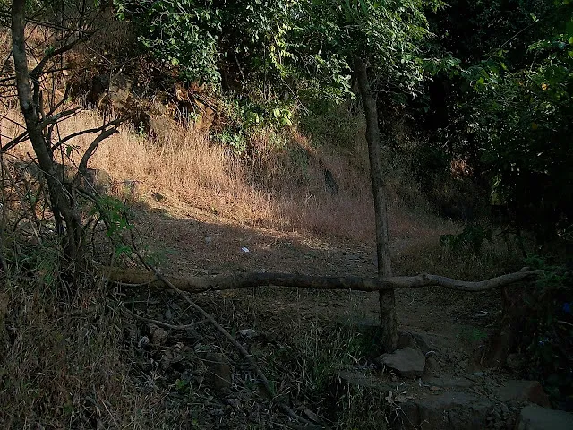 Sagargad Trek
