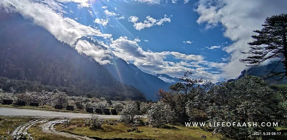 Sikkim Series | Lachung, Yumthang Valley & Lachen | Day 3