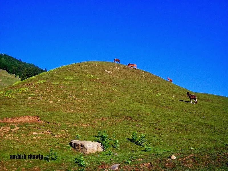 Kashmir Great Lakes Trek | Day 2