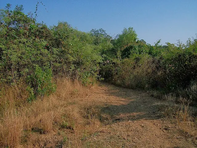 Sagargad Trek