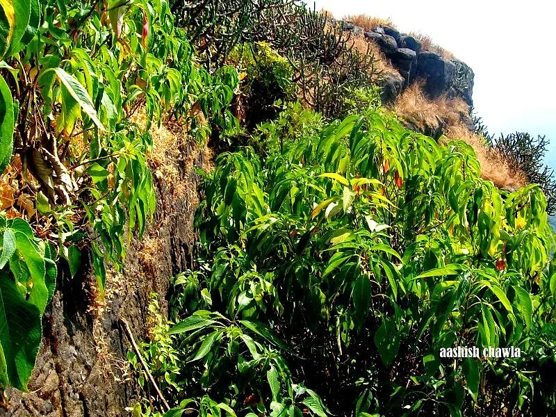 Tak Mak Fort Trek