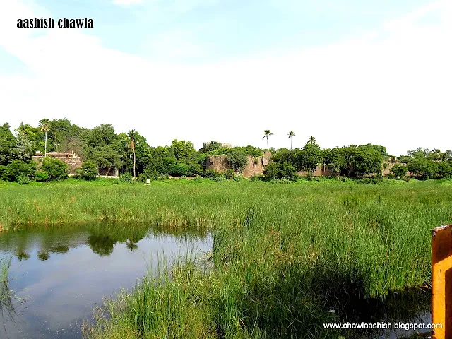 Solapur in a day| Part 2 | Siddeshwar temple