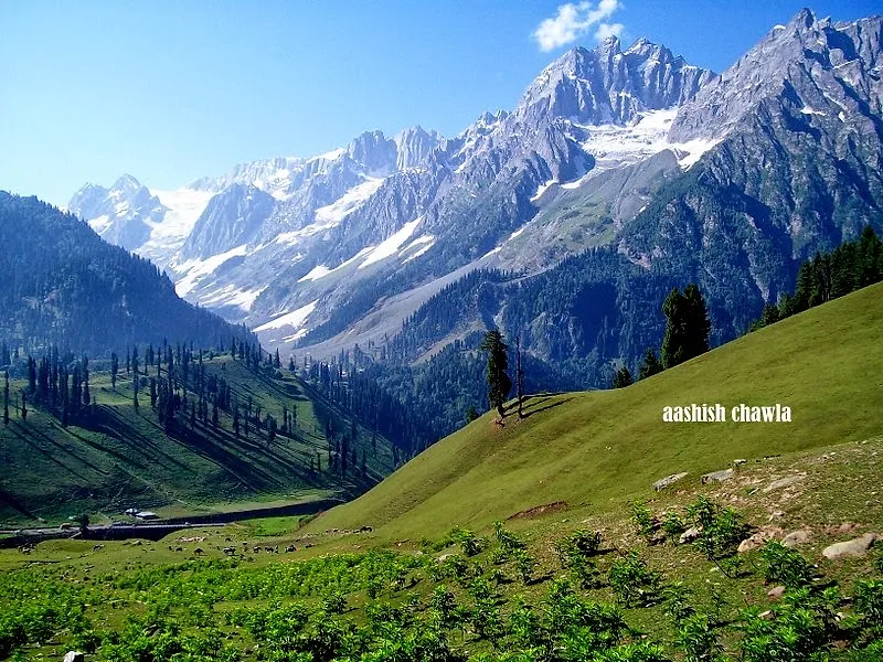 Kashmir Great Lakes Trek | Day 2