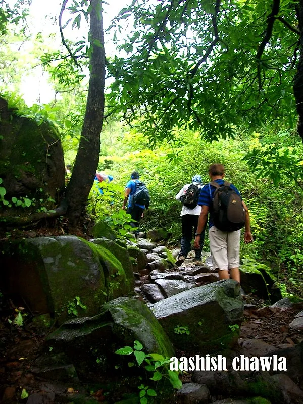 Bhaskargad Aka Basgad