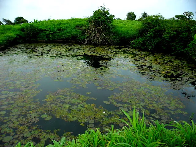 Asherigad Trek — An Independence Day Trek (2012)