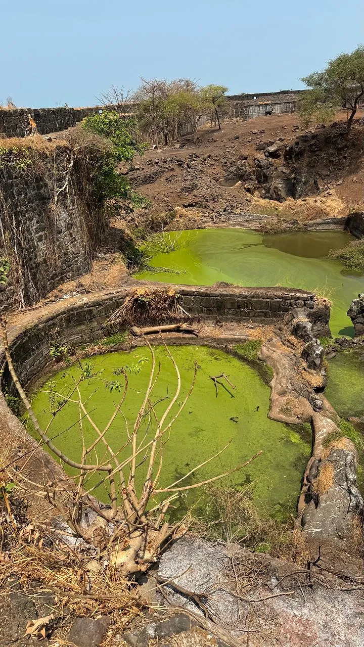 Konkan Road Trip Part 3: Harnai Fish Market & Suvarnadurg Fort – Hidden Gems of Dapoli