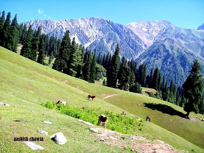 Kashmir Great Lakes Trek | Day 2