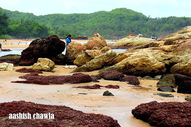 Coastal Odyssey: Gokarna Beach & Om Beach
